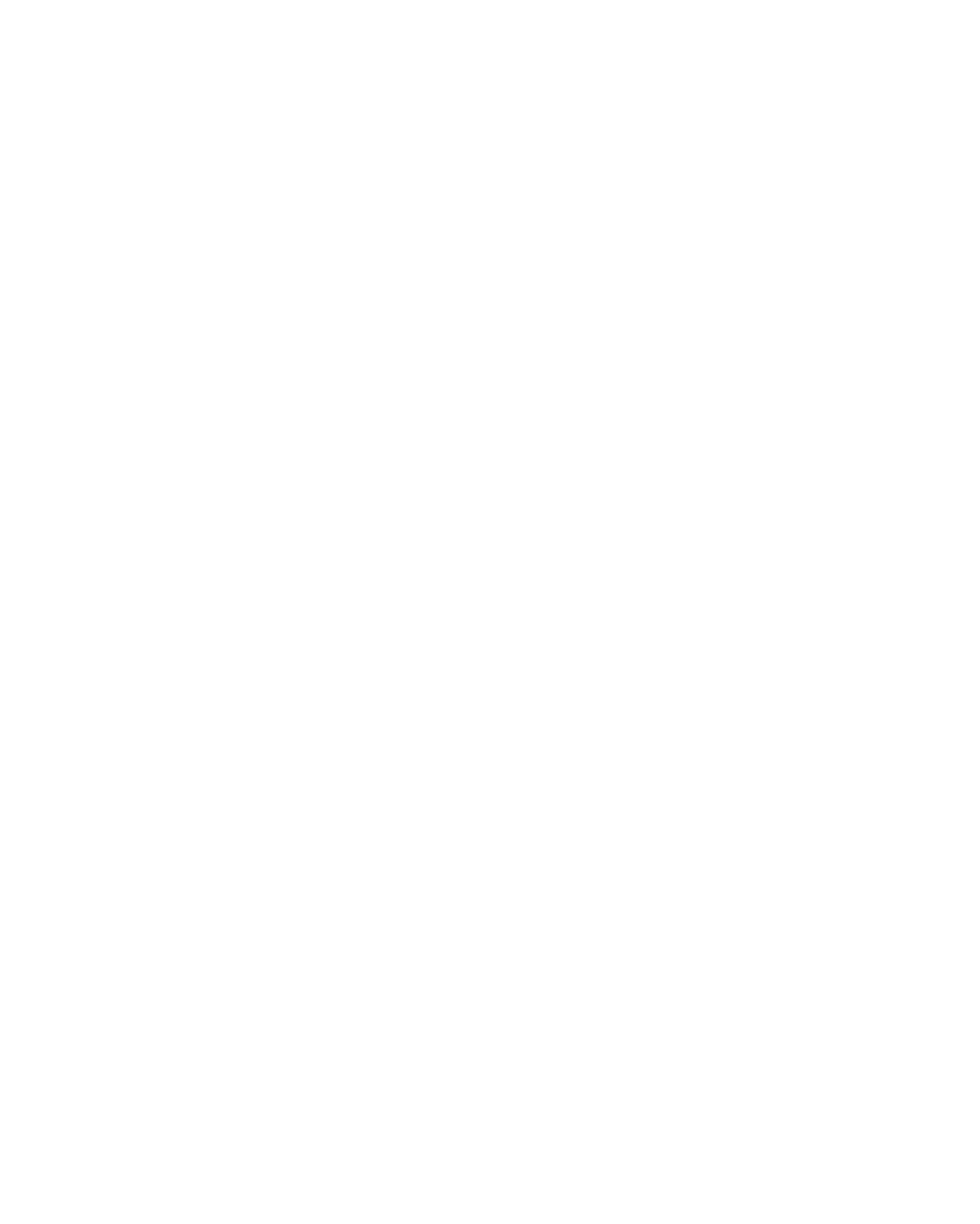 Schwalbenkönig Logo